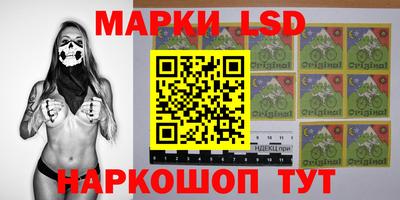 амф Сланцы