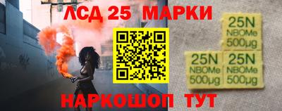 амф Сланцы