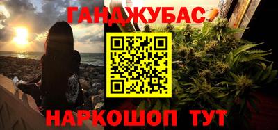 амф Сланцы