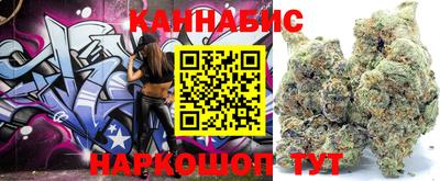 твердый Славгород