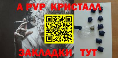 амф Сланцы