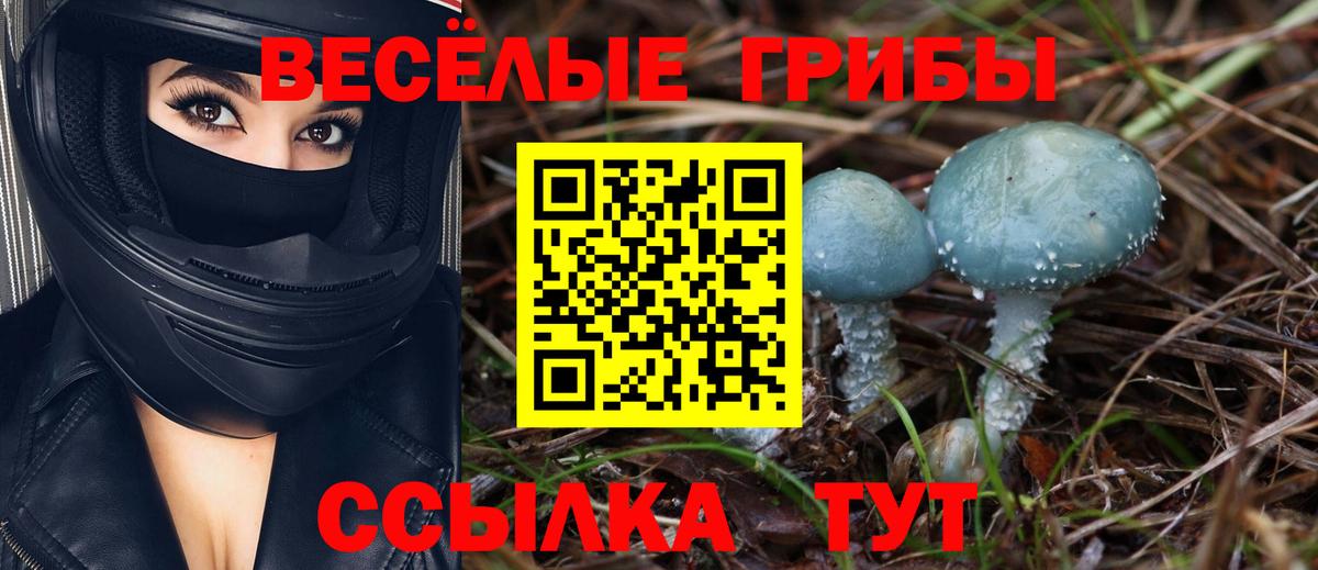 Псилоцибиновые грибы мухоморы Прокопьевск