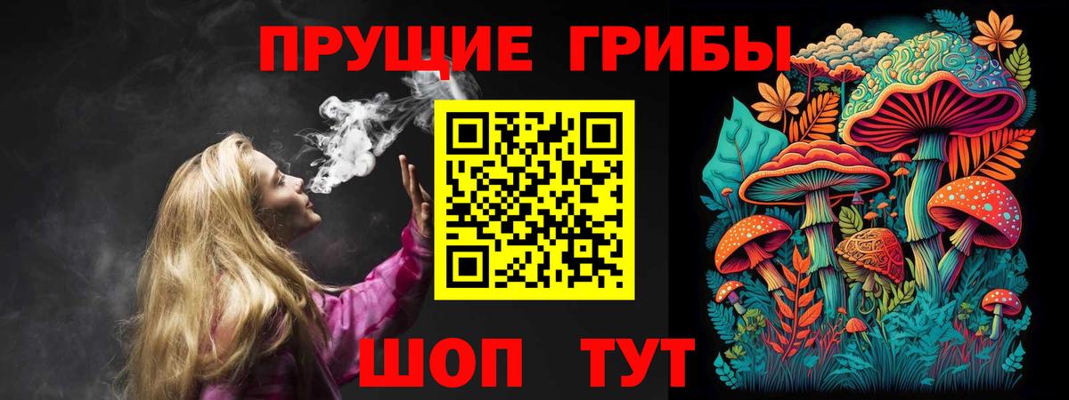 Прокопьевск  Псилоцибиновые грибы прущие грибы  Вход с VPN 